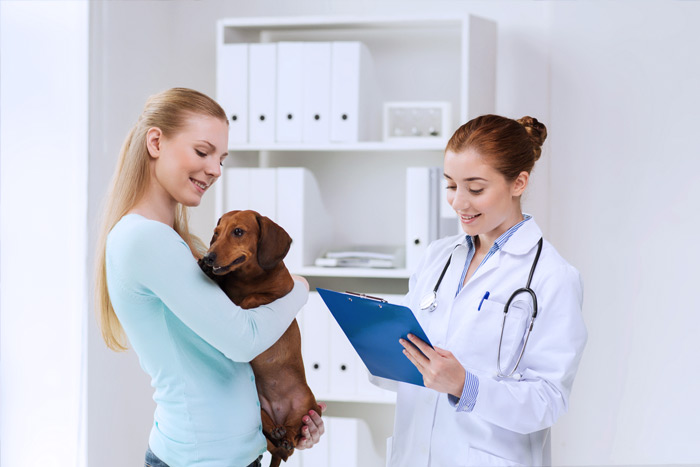 ЭЦП для оформления ветеринарных сертификатов (ГИС Меркурий) в Белой Калитве